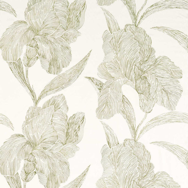 Onsen Sage Green | Harlequin