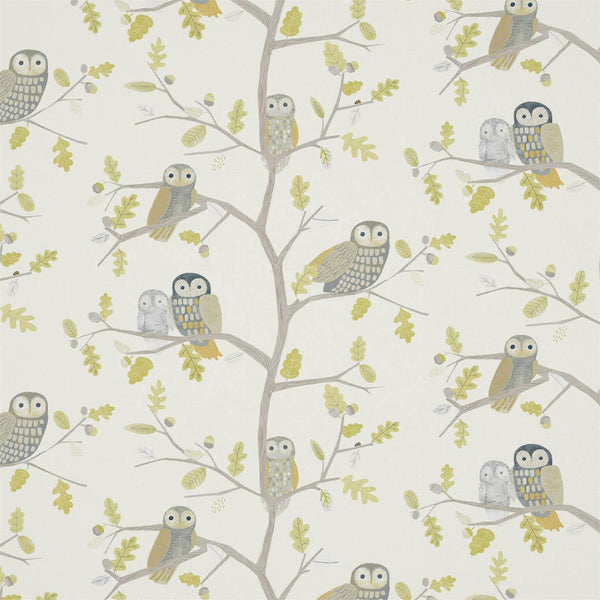 Little Owls Kiwi | Harlequin