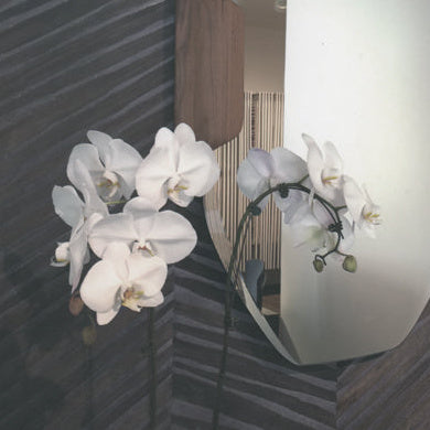 Whittier Way - Twisted Paper Weave | Hollywood Wallcoverings