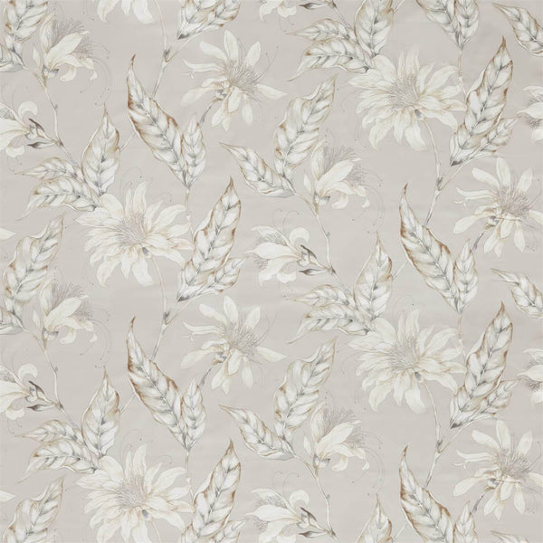 Ananda Oyster | Harlequin