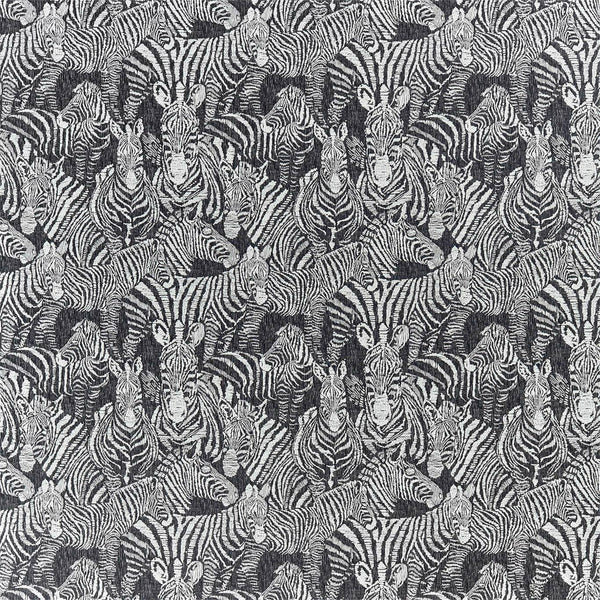 Nirmala Jet | Harlequin