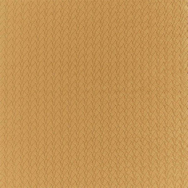 Tectrix Bronze | Harlequin