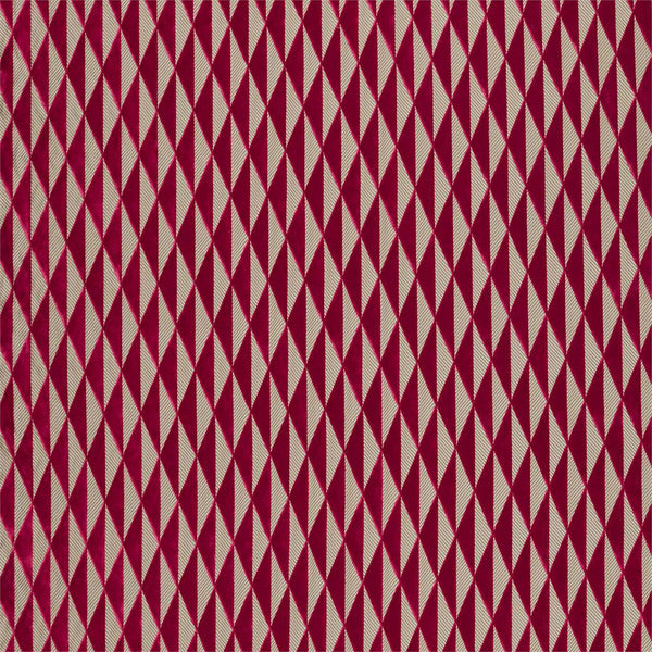 Irradiant Tulip | Harlequin