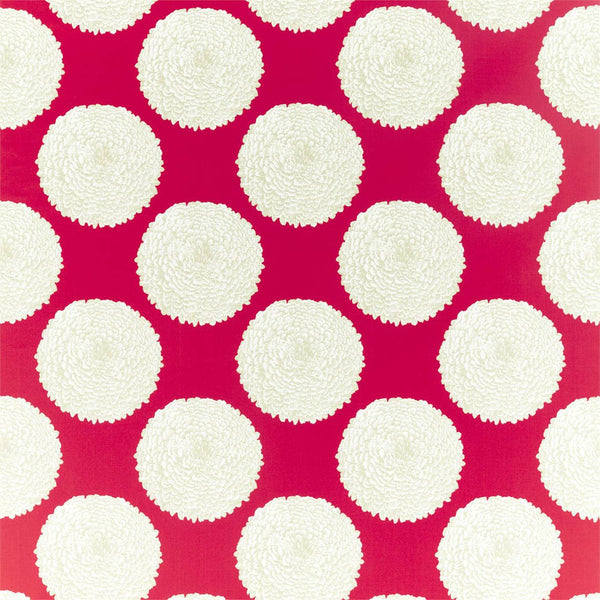 Elixity Tulip | Harlequin