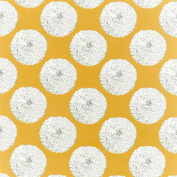 Elixity Saffron | Harlequin