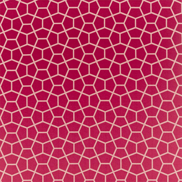 Glyptic Cherry | Harlequin