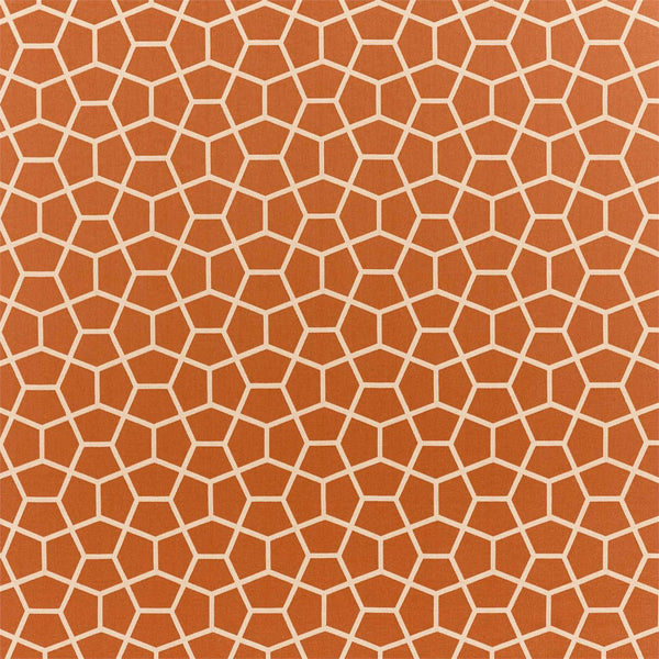 Glyptic Bronze | Harlequin