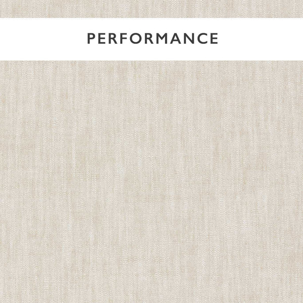 Mineral Limewash | Harlequin