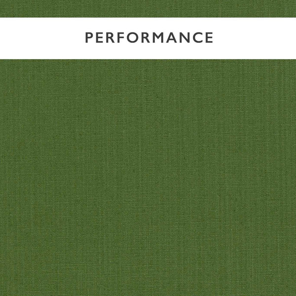 Mineral Evergreen | Harlequin