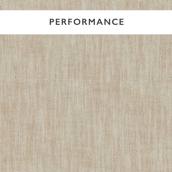 Mineral Clay | Harlequin