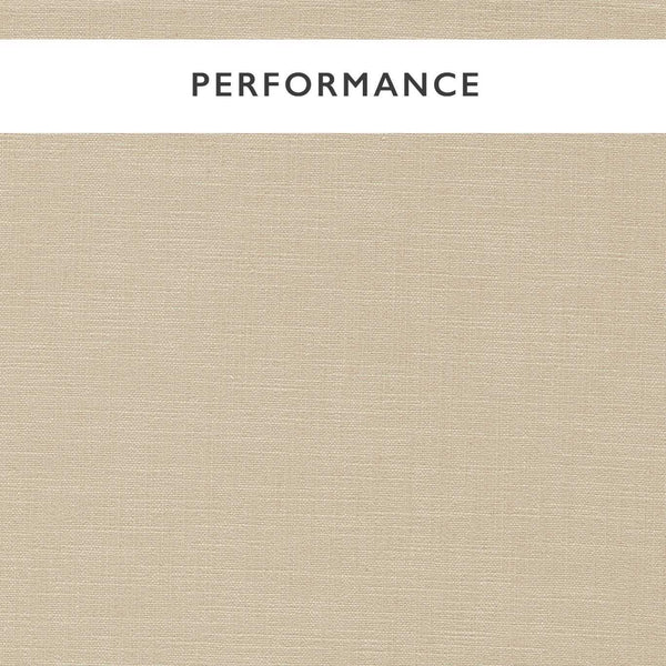 Mineral Champagne | Harlequin