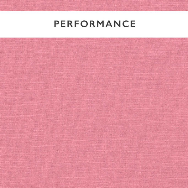 Mineral Peony | Harlequin