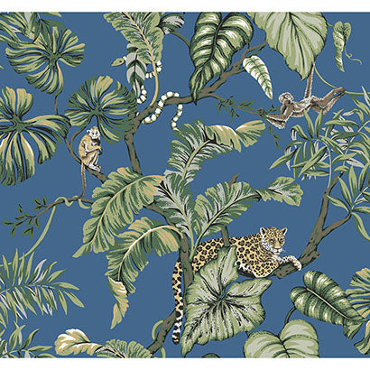 Jungle Cat Wallpaper | Jeffrey Stevens