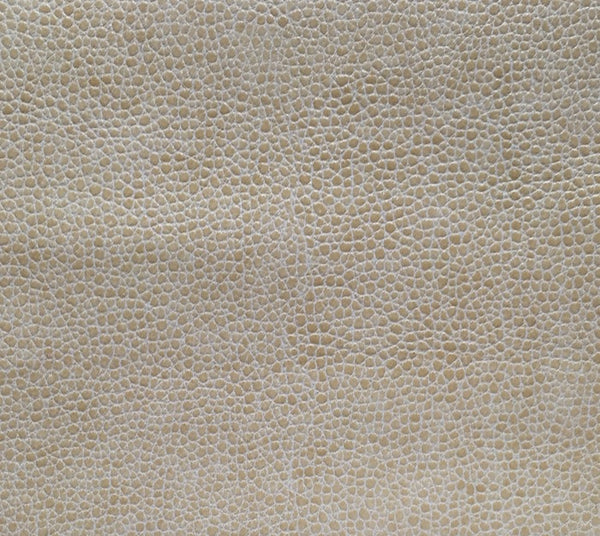 Hollis - Popcorn | Commercial Fabric | Los Angeles Fabrics