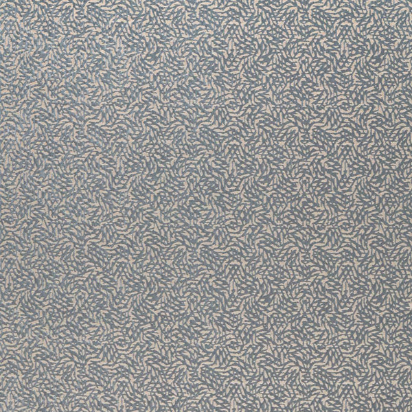 Dentella Powder Blue | Harlequin