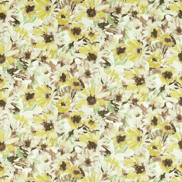 Helianthus Sunflower/Grass/Awakening | Harlequin