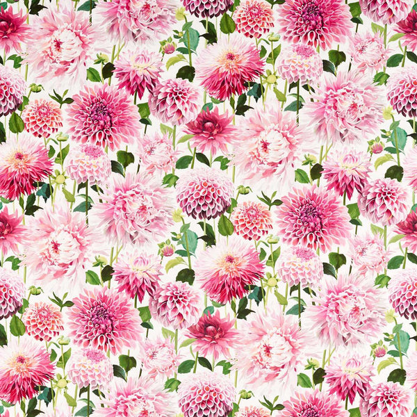 Dahlia Blossom/Emerald | Harlequin