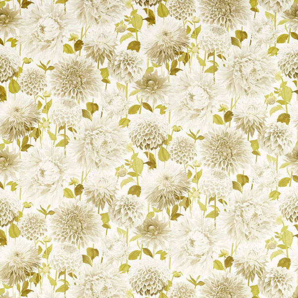 Dahlia Fig Blossom/Nectar/Awakening | Harlequin