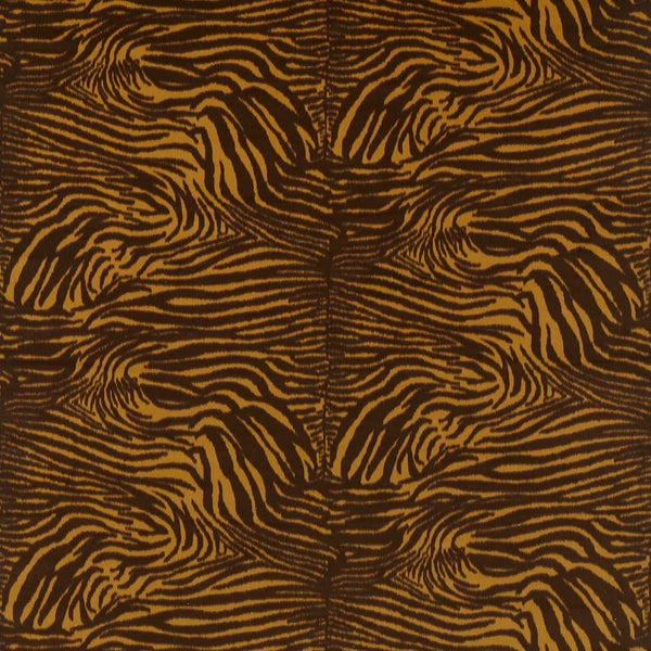 Equidae Velvet Onyx/Amber Light | Harlequin