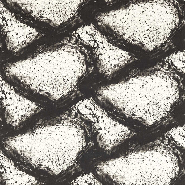 Enigmatic Black Earth | Harlequin