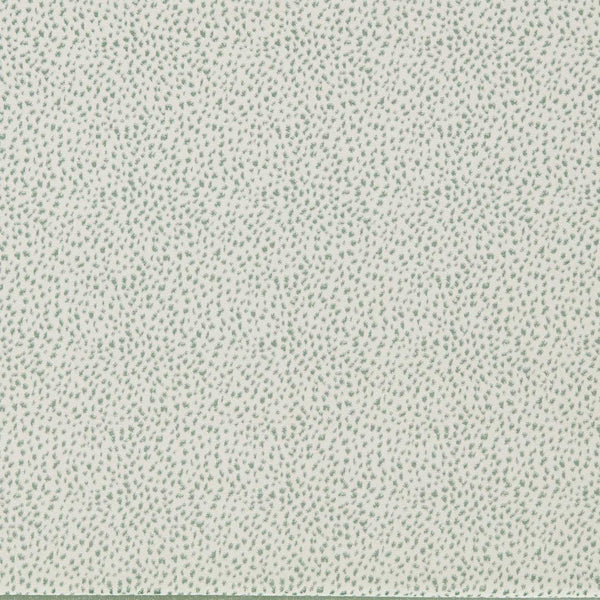 Fawn Aqua | Harlequin