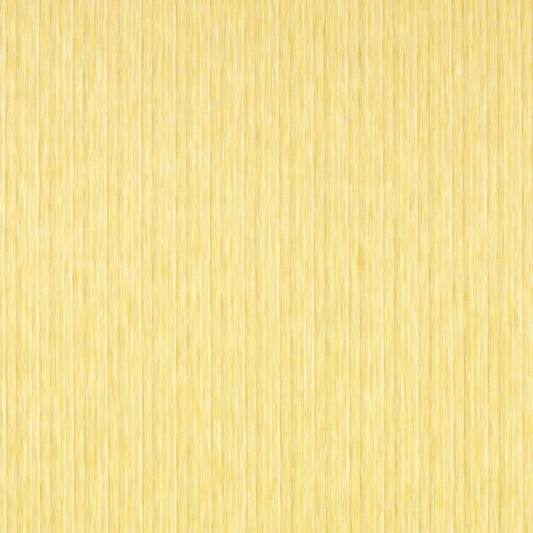 Palla Honey/First Light | Harlequin