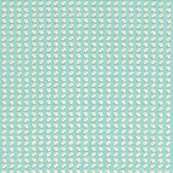 Silene Aqua/First Light/Forest | Harlequin