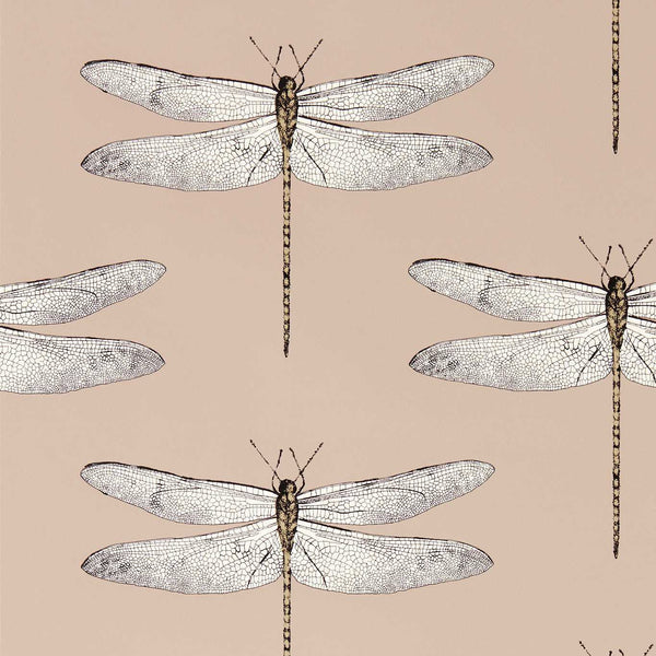 Demoiselle Positano First Light Taupe — Harlequin