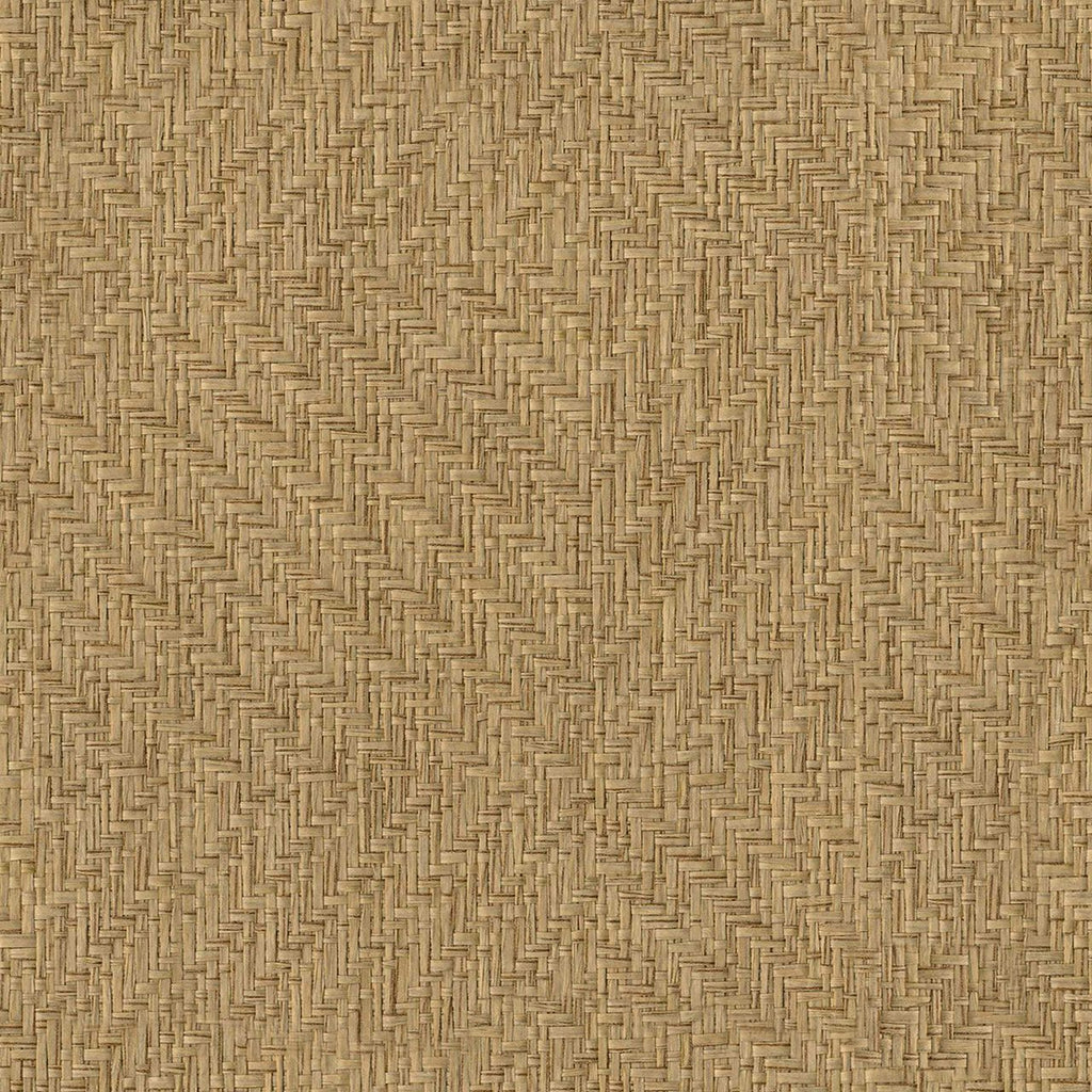 Campos 8400092, Sample