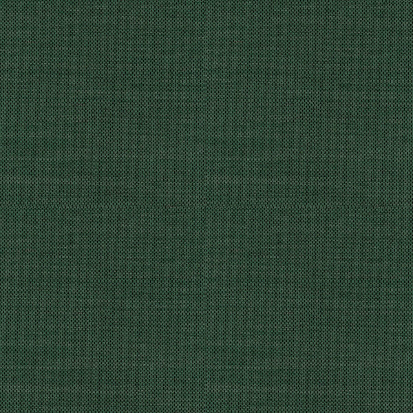Campos 8400095, Roll Wallcoverings | Coordonné