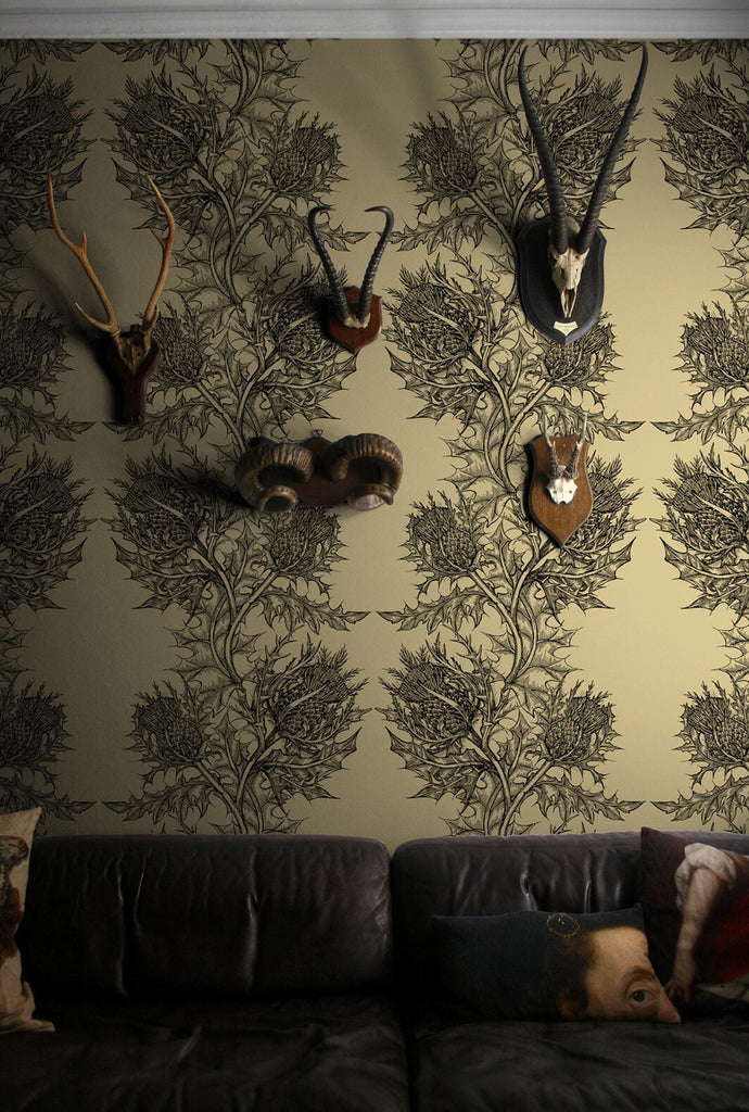Thistle Black on Khaki