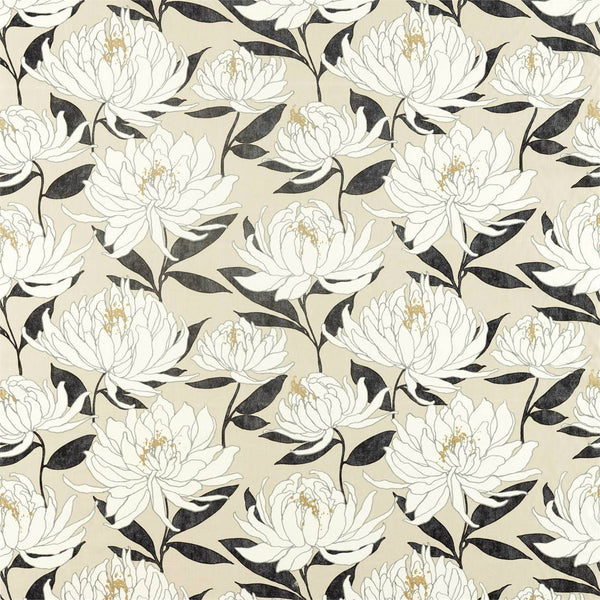 Sebal Platinum/Ebony | Harlequin