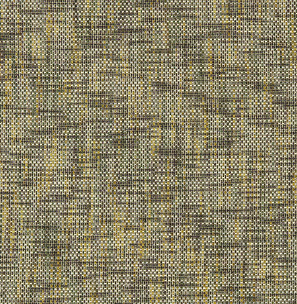 Cestino Moss | Harlequin