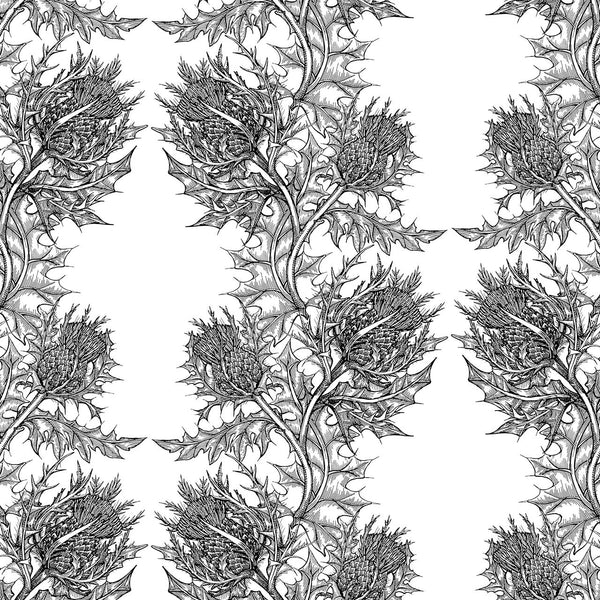Thistle Black on White | Timorous Beasties Wallcovering