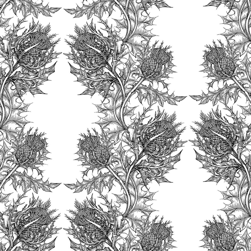 Thistle Black on White