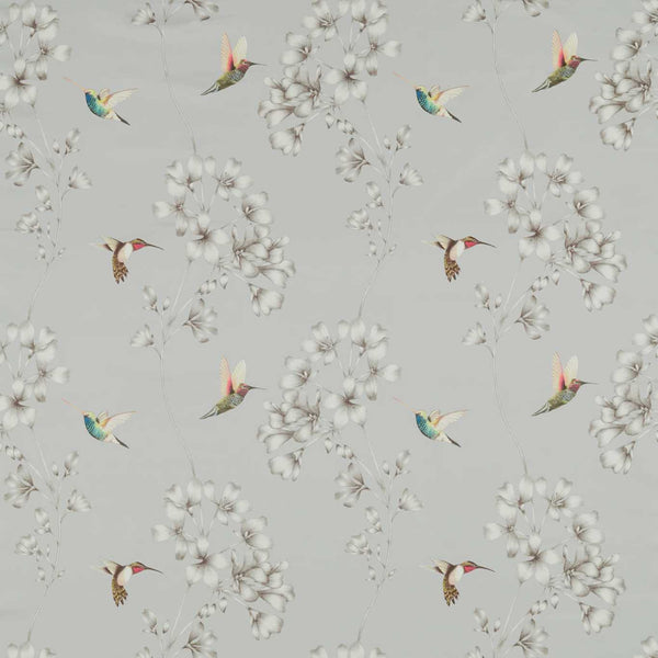 Amazilia French Grey | Harlequin