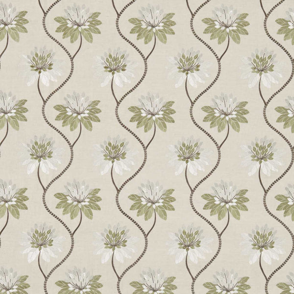 Eloise Avocado | Harlequin