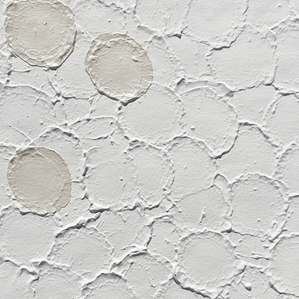 Harmonic Legato Wallcovering | Vahallan
