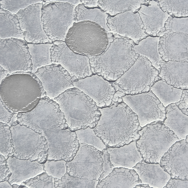 Harmonic Lyrical Wallcovering | Vahallan