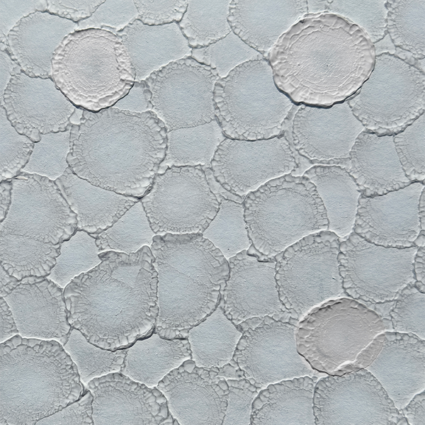 Harmonic Melodius Wallcovering | Vahallan