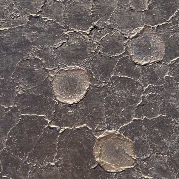 Harmonic Symphonius Wallcovering | Vahallan