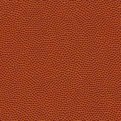 Basketball/Football - Basketball/Football
