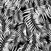 Hazy Palm Black & White