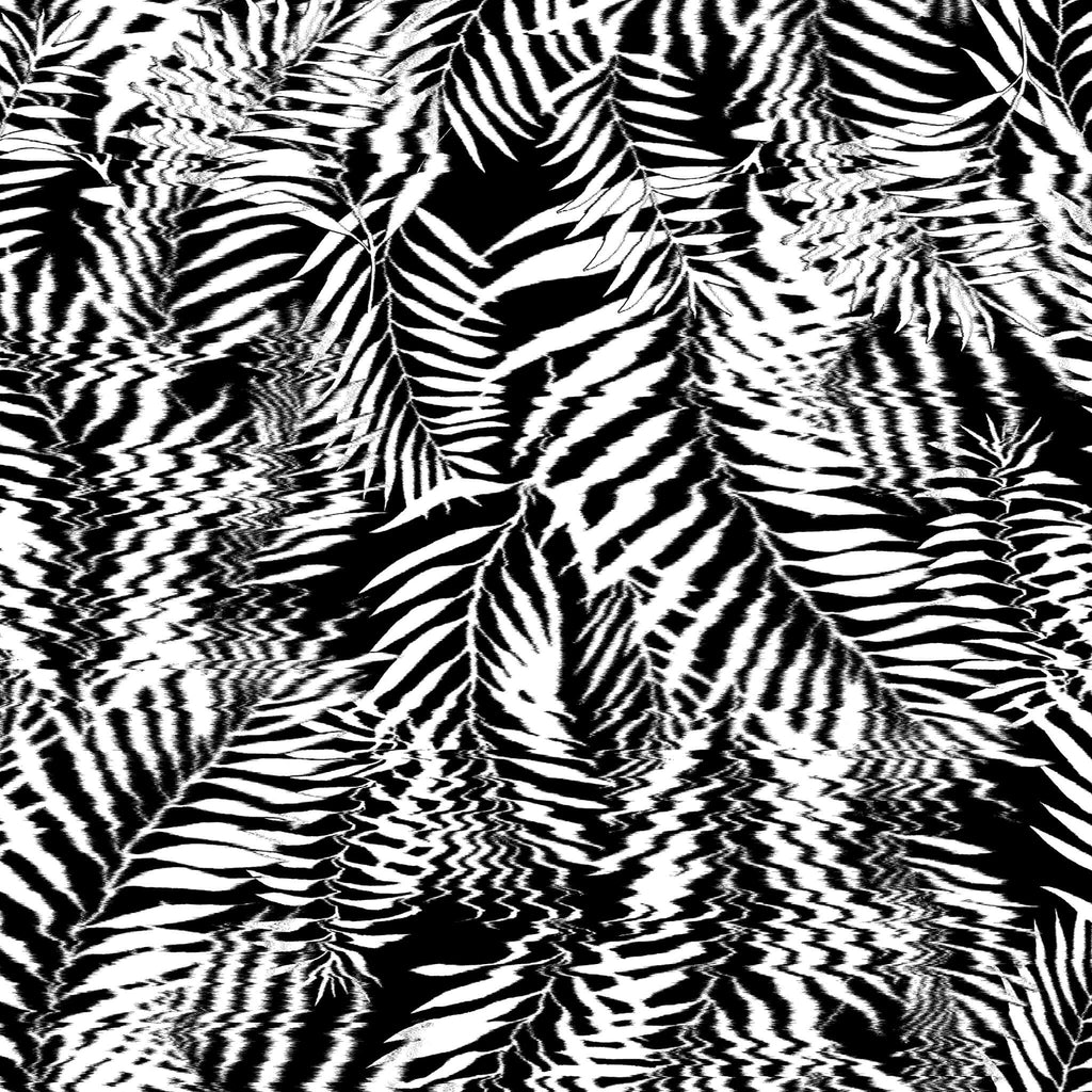 Hazy Palm Black & White