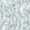 Hazy Palm Mist