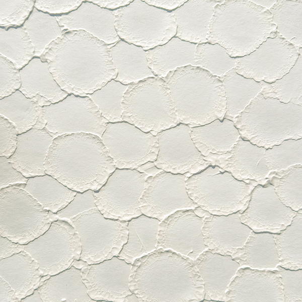 Helicon Bailly Wallcovering | Vahallan