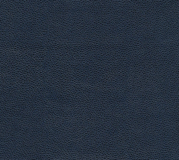 Hollis - Bar Harbor | Commercial Fabric | Los Angeles Fabrics