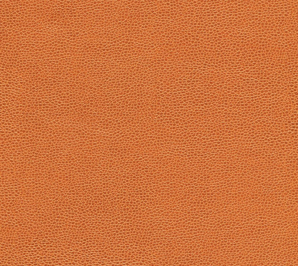 Hollis - Fort Apache | Commercial Fabric | Los Angeles Fabrics