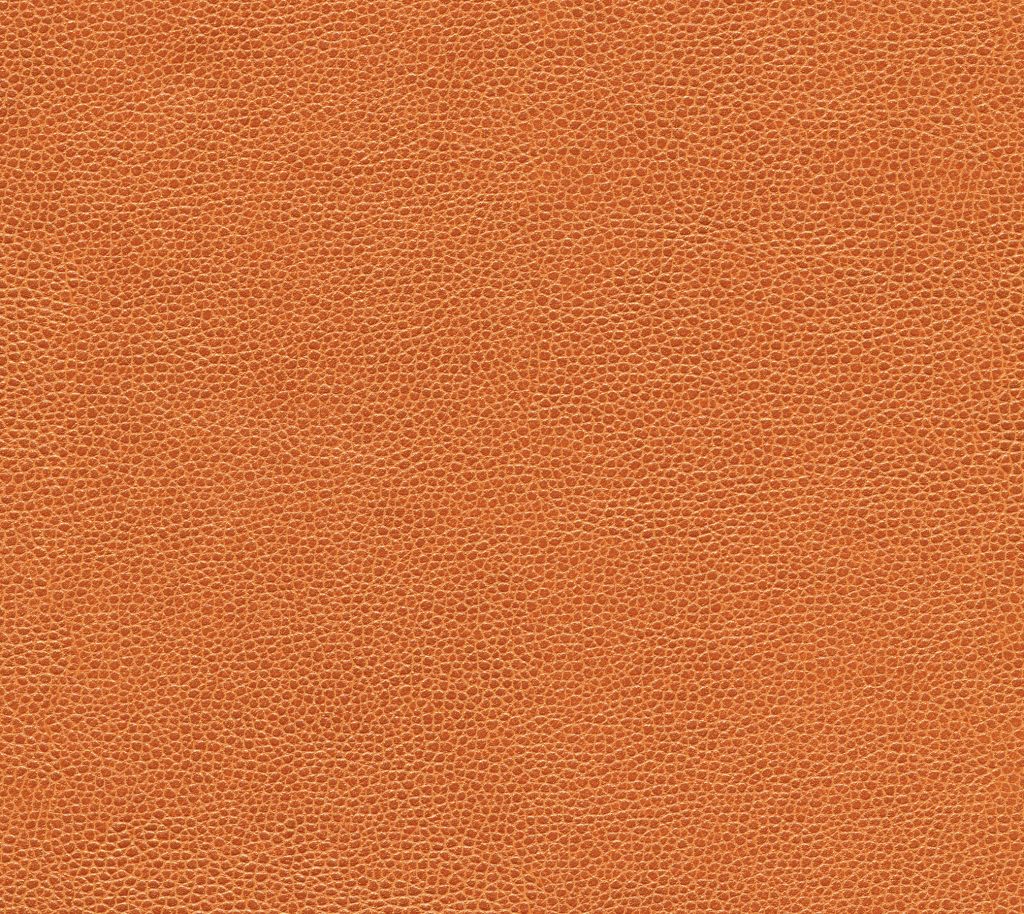 Hollis - Fort Apache | Commercial Fabric | Los Angeles Fabrics
