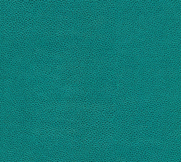 Hollis - Sea Paradise | Commercial Fabric | Los Angeles Fabrics